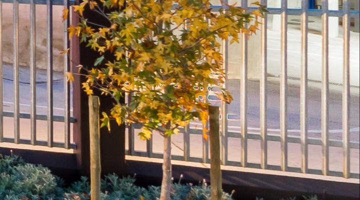 Quiver Tree Self-Catering Apartments