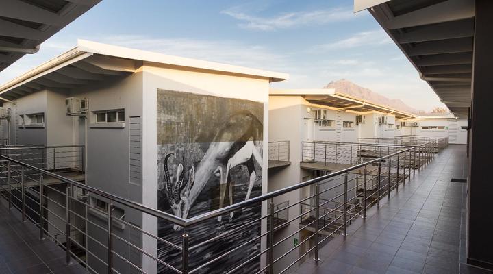 Quiver Tree Self-Catering Apartments