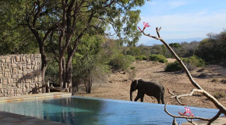 Shumbalala Game Lodge