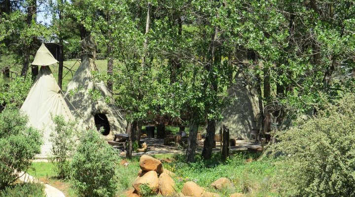 Nguni Moon Tepees
