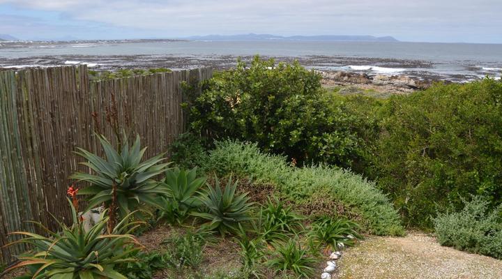Hermanus Beach Villa and Cottages