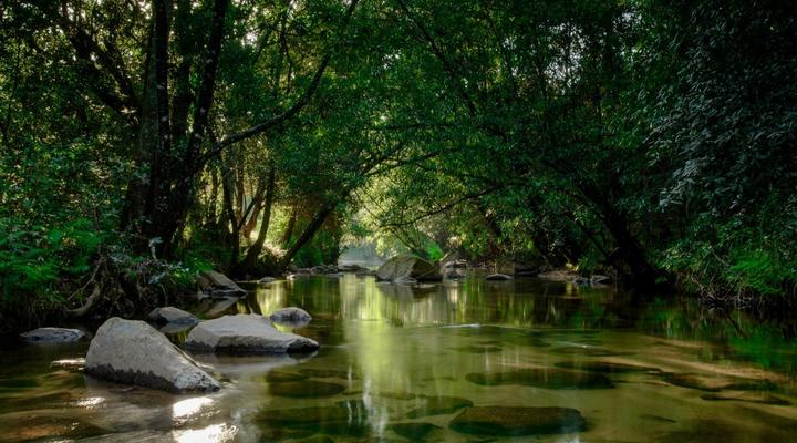 The Reserve Boutique Hotel