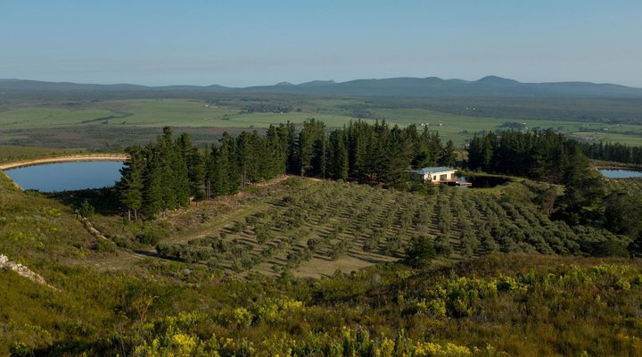 Goodwill Mountain Farm
