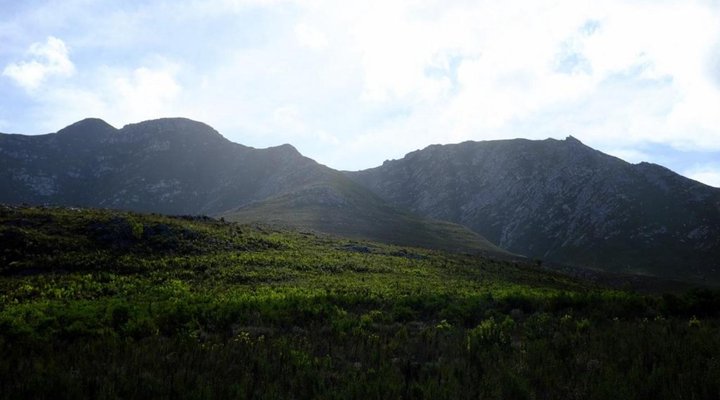 Goodwill Mountain Farm