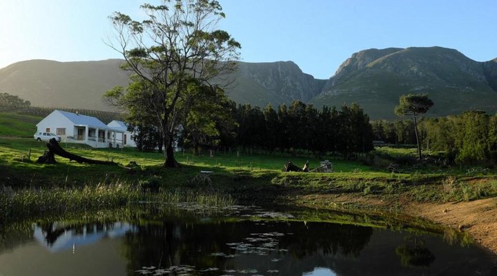 Goodwill Mountain Farm