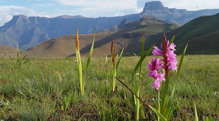Witsieshoek Mountain Lodge