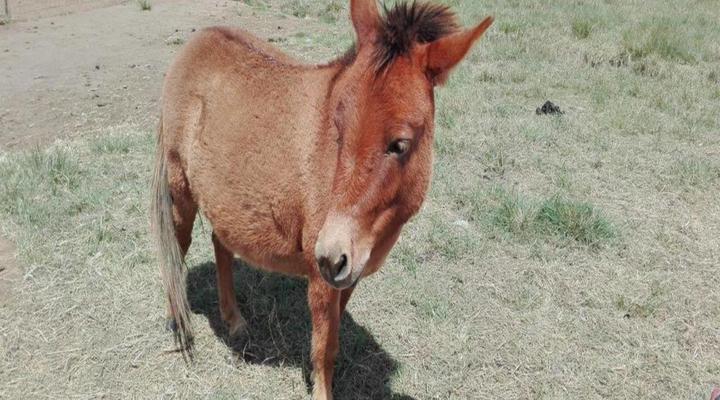 Mountain View Guest House