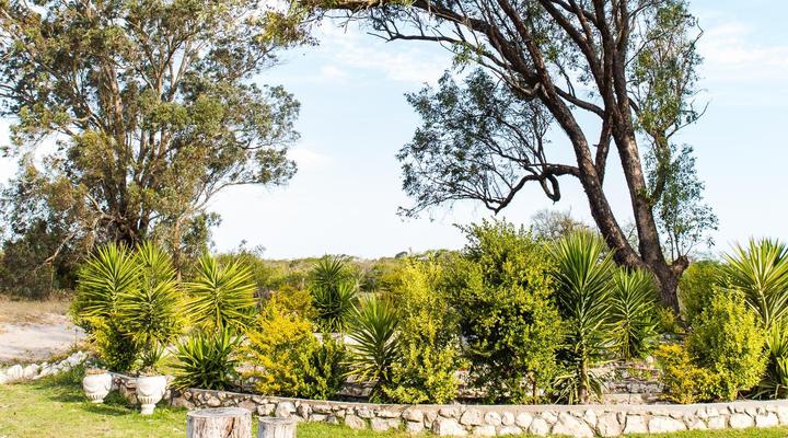 Schaftplaas Cottages