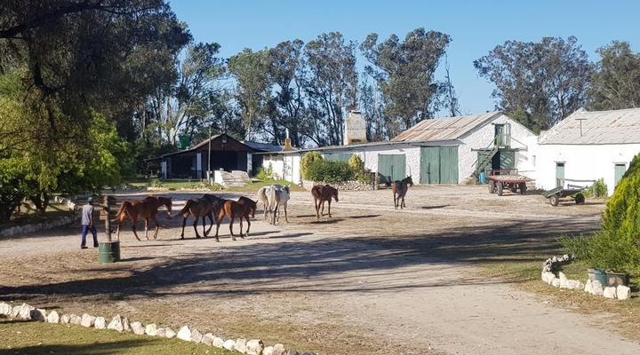 Schaftplaas Cottages