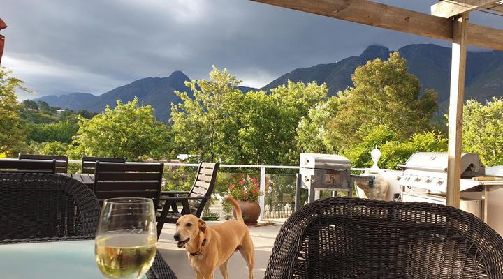 View Swellendam B&B