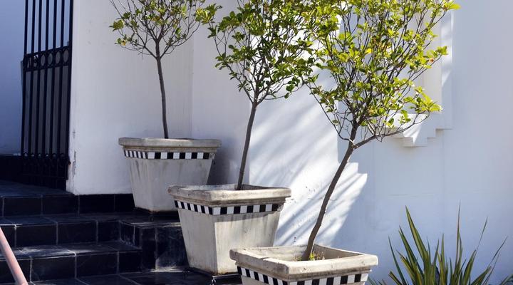 96 on Bree Guesthouse