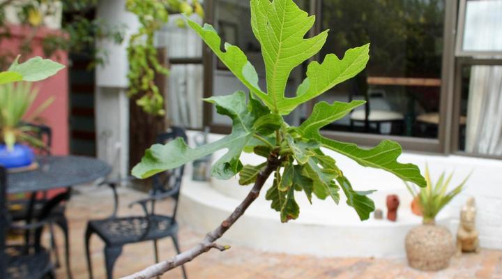 John Bauer Pottery Studio