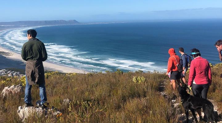 The Whale on Main B&B