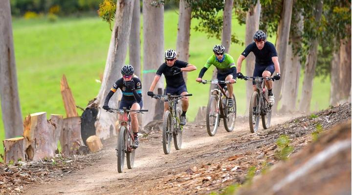 The Whale on Main B&B