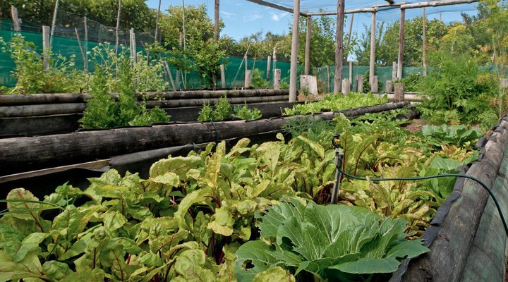 Bellavista Country Place