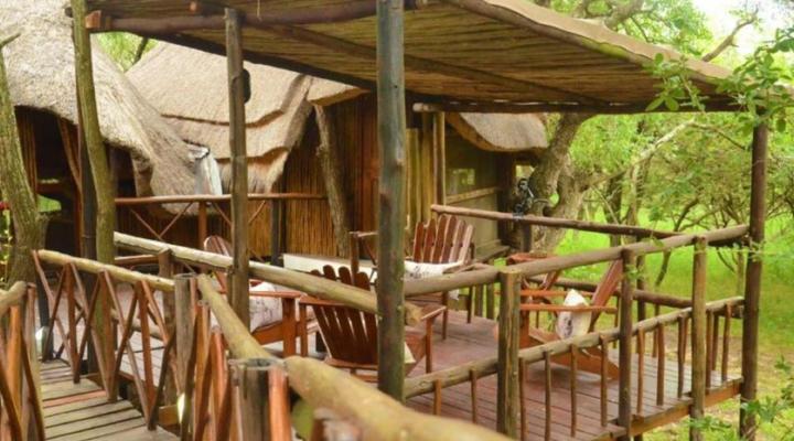Pezulu Tree House Game Lodge