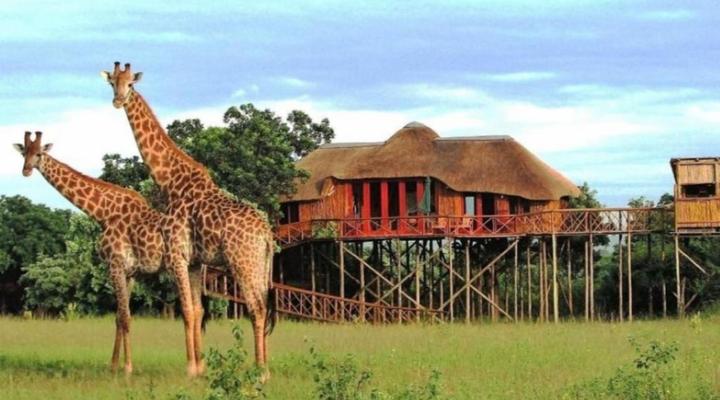 Pezulu Tree House Game Lodge