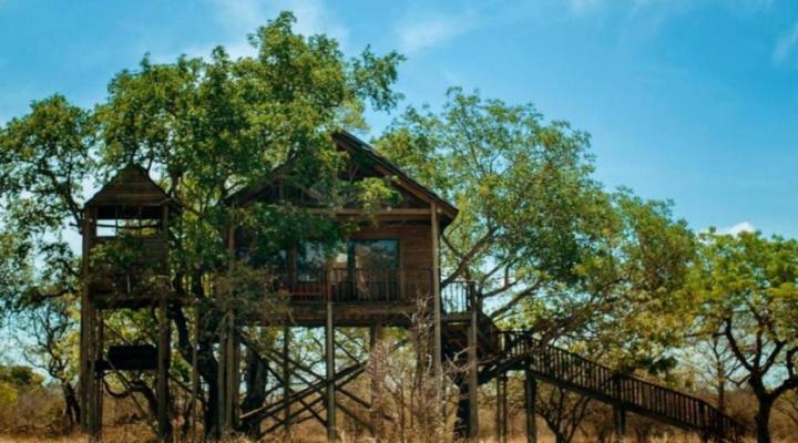 Pezulu Tree House Game Lodge
