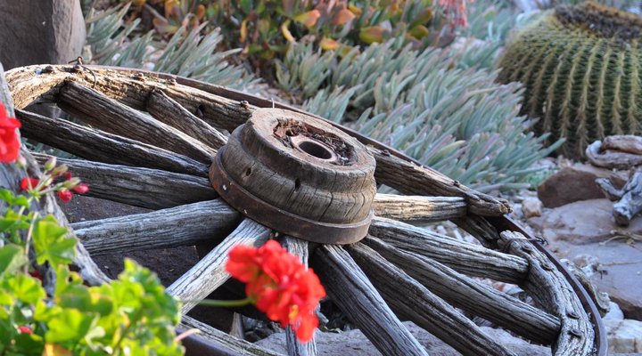 Kalahari Bush Breaks