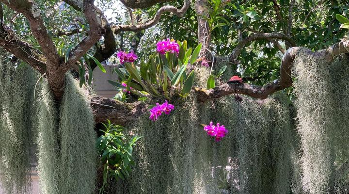 Birds Babble Self-Catering Guesthouse