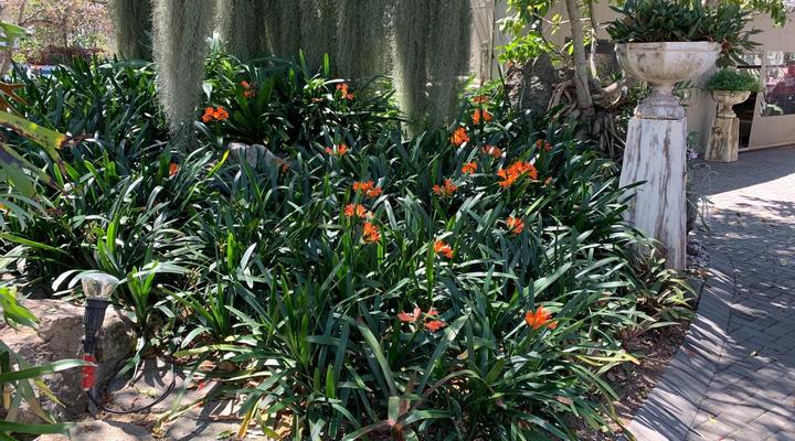 Birds Babble Self-Catering Guesthouse