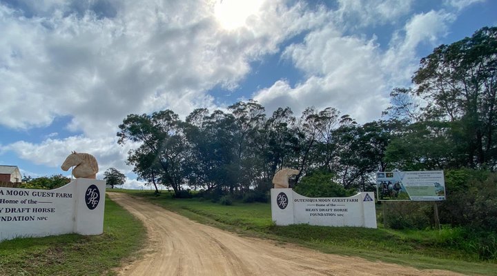 Outeniqua Moon Stud and Guest Farm