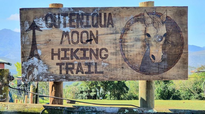 Outeniqua Moon Stud and Guest Farm