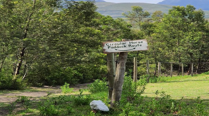 Outeniqua Moon Stud and Guest Farm