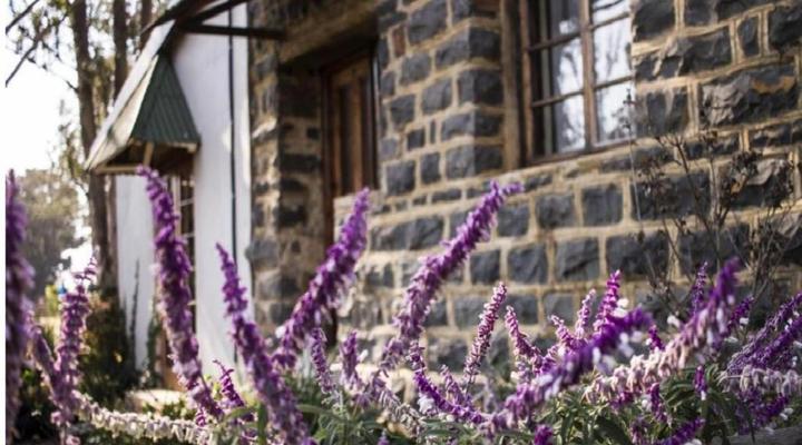 Dalmore Guest Farm B&B