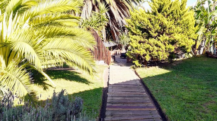 SaltyCrax Backpackers Surf Lodge