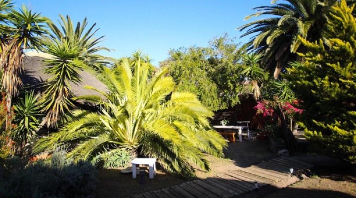 SaltyCrax Backpackers Surf Lodge