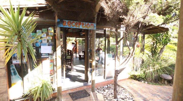 SaltyCrax Backpackers Surf Lodge