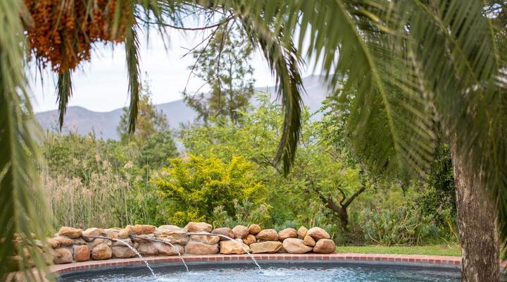 Mo & Rose at Soekershof