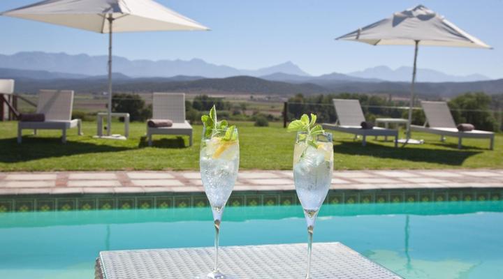 Surval Boutique Olive Estate