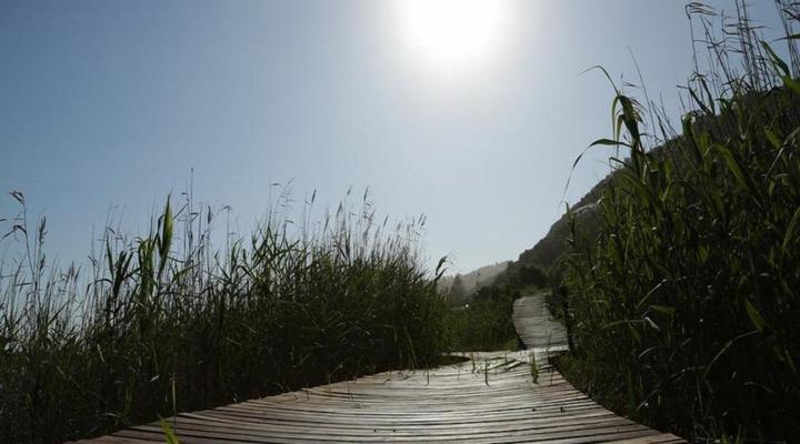 Waterside Lodge, Wilderness