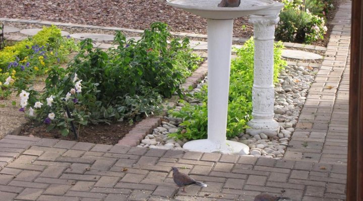 Montagu Four Seasons