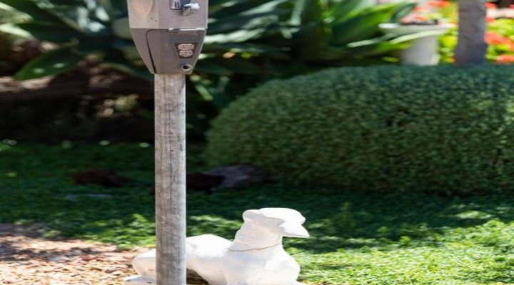 Montagu Four Seasons