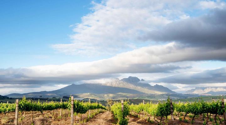 Fransmanshuijs - Luxury Farmhouse