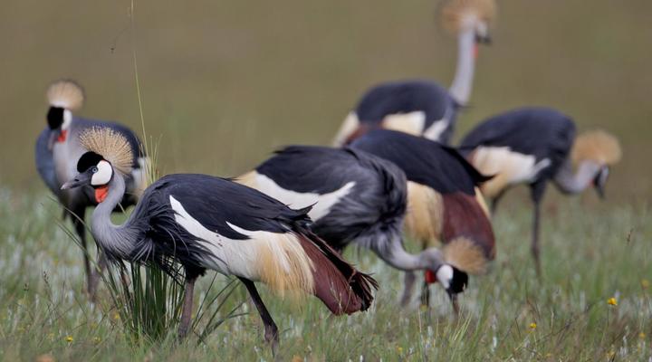 Woodcliffe Country House