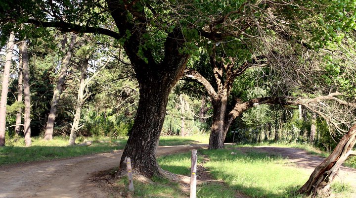Oldenburg Lodge & Game Park