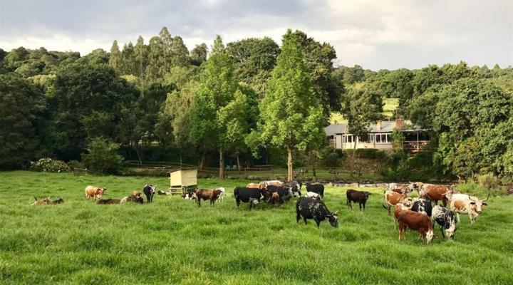 Gowan Valley Guest Farm