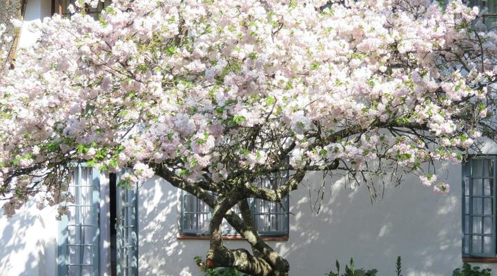 Gowan Valley Guest Farm