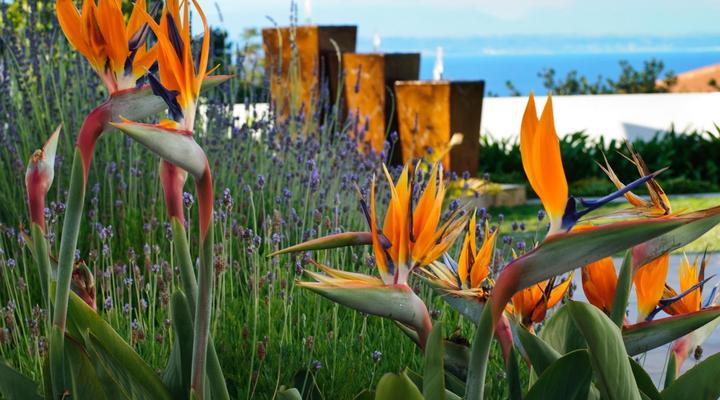 Aquamarine Guest House