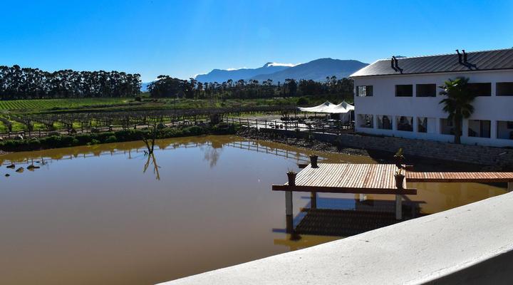 Middelplaas Paarl Guesthouse