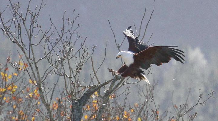 Appelsbosch Guest House