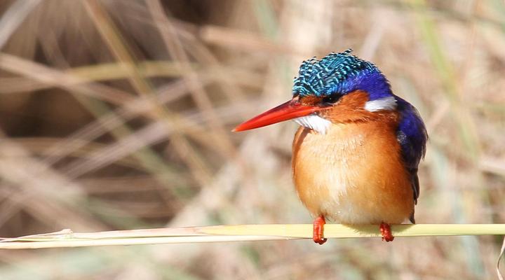 Appelsbosch Guest House