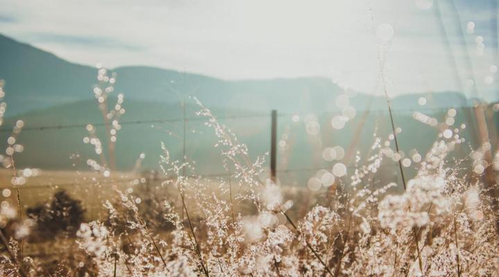 Appelsbosch Guest House