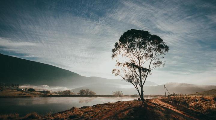 Appelsbosch Guest House