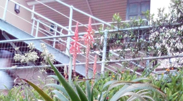 Ocean Blue Guesthouse