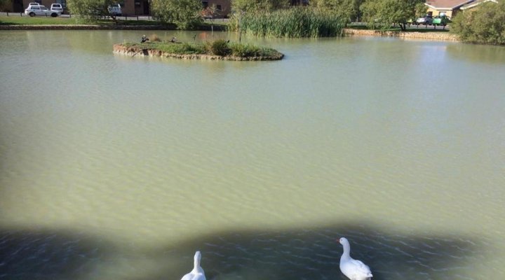 DCS Self-catering Accomodation Durbanville Kenridge No 1 Durbanville